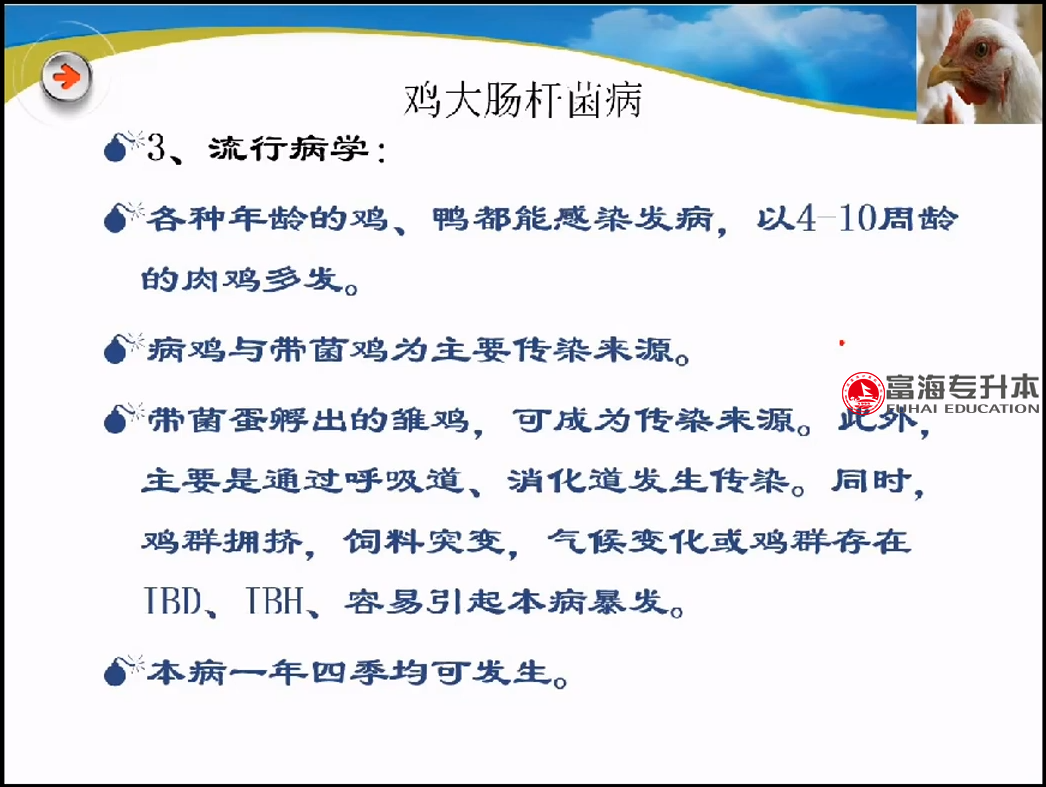 辽宁专升本动物医学专业课禽病防治技术富海专升本培训上课照片