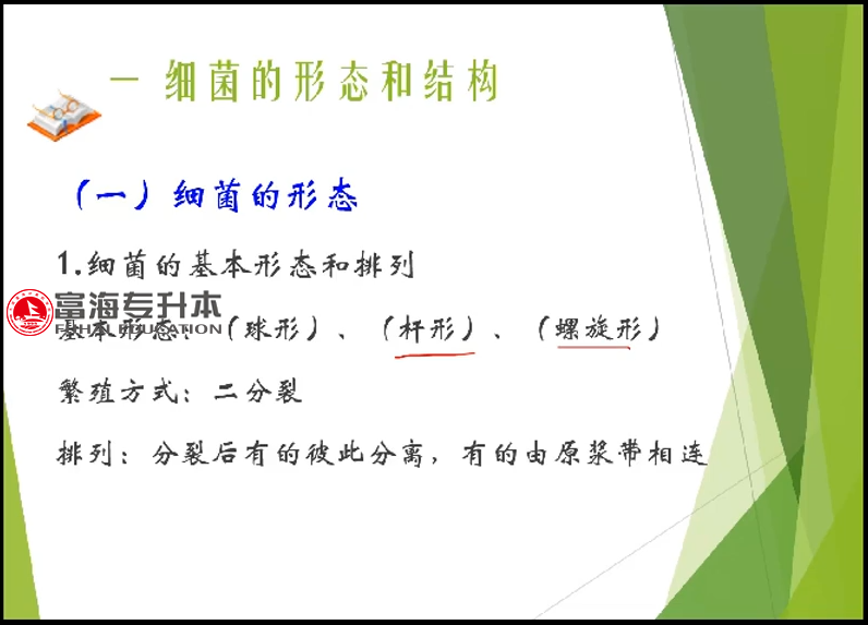 辽宁专升本动物医学专业课动物微生物与免疫富海专升本培训上课照片