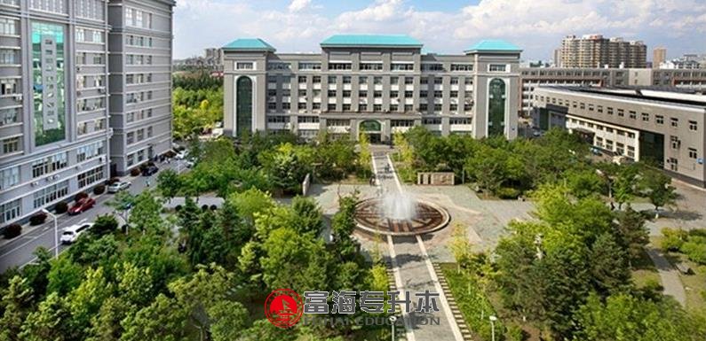 沈阳大学专升本